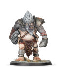 Fomoroid Crusher Aplastador Fomoroide Slaves to Darkness Warcry Warhammer Age of Sigmar