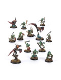 Cazadores de Huanchi Hunters of Huanchi Warcry Seraphon
