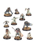 Royal Beastflayers Fustigabestias Reales Warcry Flesh-Eater Courts