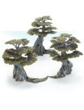Awakened Wyldwood Sylvaneth Warhammer Age of Sigmar