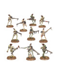 Carnívoros Kroot Carnivores Tau Epire Warhammer 40.000