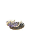 Hechizos Poder Prohibido Forbidden Power Spells Warhammer Age of Sigmar