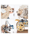 Carros de Tiranoc Chariots High Elf Realms Warhammer The Old World