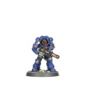 Laureados del Capitulo Honoured of the Chapter Space Marines Warhammer 40.000