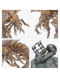 Ashwing Helamites Ash Waste Nomads Necromunda