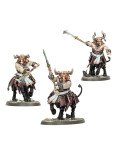 Toros Centauros Centinelas Ungidos Bull Centaurs Anointed Sentinels Helsmiths of Hashut Warhammer Age of Sigmar