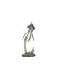 Círculo Canóptico Necrones Canoptek Circle Necrons Kill Team Warhammer 40.000