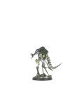 Círculo Canóptico Necrones Canoptek Circle Necrons Kill Team Warhammer 40.000
