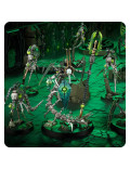 Círculo Canóptico Necrones Canoptek Circle Necrons Kill Team Warhammer 40.000
