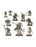 Célula Bubónica Punta de Lanza Spearhead Bubonic Cell Maggotkin of Nurgle Warhammer Age of Sigmar