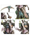 Célula Bubónica Punta de Lanza Spearhead Bubonic Cell Maggotkin of Nurgle Warhammer Age of Sigmar