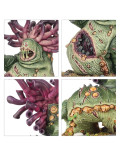 Célula Bubónica Punta de Lanza Spearhead Bubonic Cell Maggotkin of Nurgle Warhammer Age of Sigmar