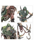 Célula Bubónica Punta de Lanza Spearhead Bubonic Cell Maggotkin of Nurgle Warhammer Age of Sigmar