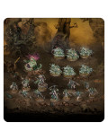 Célula Bubónica Punta de Lanza Spearhead Bubonic Cell Maggotkin of Nurgle Warhammer Age of Sigmar