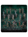 Vanguardia Kavalos Punta de Lanza Kavalos Vanguard Spearhead Ossiarch Bonereapers Warhammer Age of Sigmar
