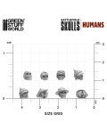 1000x Craneos de Resina 1:48-1:35 Battlefield Skulls Humans Green Stuff World