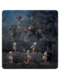 Battleforce Aquelarre Escarnacido Scáthborn Coven Daughters of Khaine Warhammer Age of Sigmar