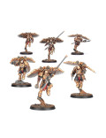 Sodalidad Venatari Sodality Adeptus Legio Custodes Warhammer 40.000 The Horus Heresy