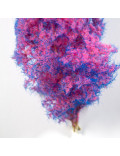 Blue Pink Fantasy Bushes Arbustos Fantasía Azul Rosa AK8264 AK Interactive