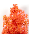 Arbustos Fantasía Rojo Naranja Red Orange Fantasy Bushes AK8266 AK Interactive