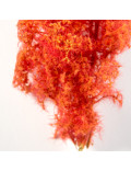 Arbustos Fantasía Rojo Naranja Red Orange Fantasy Bushes AK8266 AK Interactive