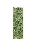 Realistic Green Moss Musgo Verde Realista AK8132 AK Interactive