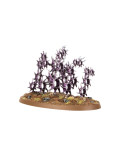 Regimiento de Renombre El Reflejo Maldito The Accursed Reflection Hedonites of Slaanesh Warhammer Age of Sigmar