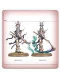 Señor de la Histeria Lord oh Hysteria Hedonites of Slaanesh Warhammer Age of Sigmar