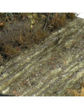 Terreno Suelo Húmedo Terrains Wet Ground 250ml AK8016 AK Interactive