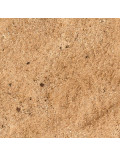 Terreno Arena de Desierto Terrains Sandy Desert 250ml AK8021 AK Interactive