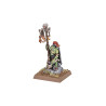 Orcs & Goblins Tribes Battle March Warhammer The Old World