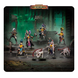 Matriarchs y Phyrr Cats Escher Necromunda