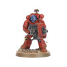 Campeones Champions Armageddon Space Marines Warhammer 40k