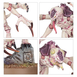 Genestealers Tyranids Culto Genestealer Warhammer 40.000