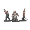 Corpse Grinder Cult Banda Gang Necromunda