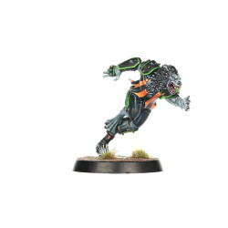 Necromantic Horror Wolfenburg Crypt-Stealers Equipo Blood Bowl