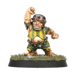 The Greenfield Grasshuggers Equipo Halfling Blood Bowl