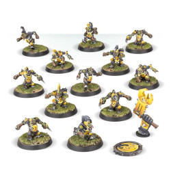 The Scarcrag Snivellers Equipo Goblin Blood Bowl