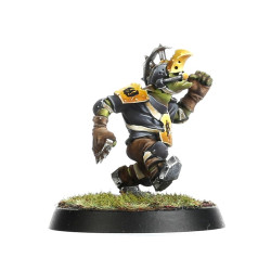 The Scarcrag Snivellers Equipo Goblin Blood Bowl