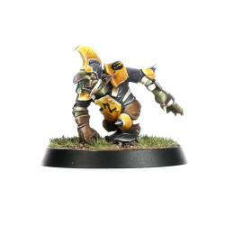 The Scarcrag Snivellers Equipo Goblin Blood Bowl