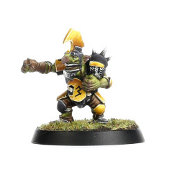 The Scarcrag Snivellers Equipo Goblin Blood Bowl