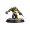 The Scarcrag Snivellers Equipo Goblin Blood Bowl