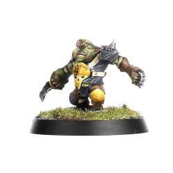 The Scarcrag Snivellers Equipo Goblin Blood Bowl