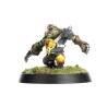 The Scarcrag Snivellers Equipo Goblin Blood Bowl