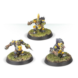 The Scarcrag Snivellers Equipo Goblin Blood Bowl