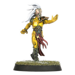 The Athelorn Avengers Equipo Wood Elf Blood Bowl