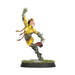 The Athelorn Avengers Equipo Wood Elf Blood Bowl