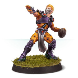 The Elfheim Eagles Equipo Elven Union Blood Bowl