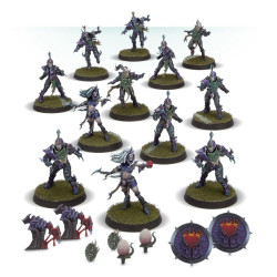The Naggaroth Nightmares Equipo Dark Elf Blood Bowl